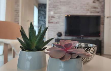 Le Mans'Art - Foto 9