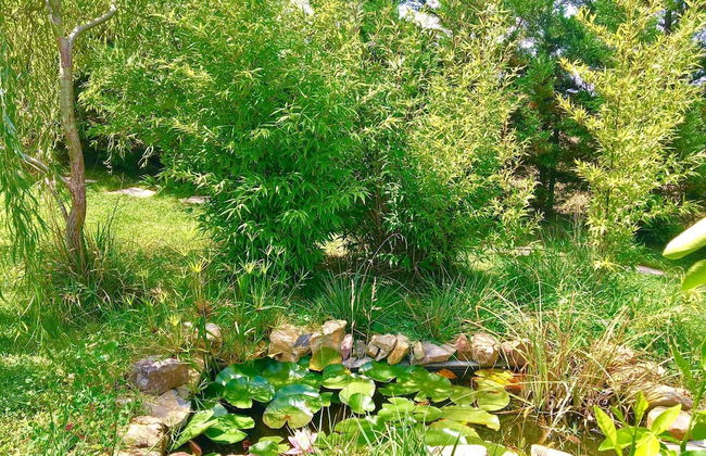 Villa Gudca - Foto 26