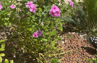 Tiny house AR, Wi-Fi, TV cozinha, proximo a Unig - Foto 7