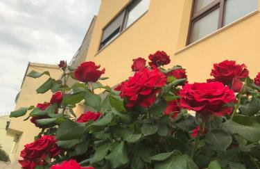 Apartman MIG - Foto 1