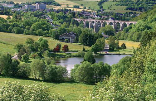 Komfort-Fewo SKYWALK-BLICK mit MeineCardPlus - Foto 41