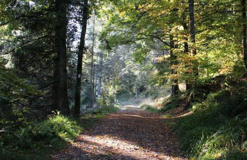 Gîte Confortable en Pleine Nature avec Cheminée et Accès Direct aux Sentiers, Proche Gérardmer et Lac - FR-1-589-124 - Photo 11
