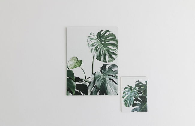 Residenza Excelsior 701 - Foto 38