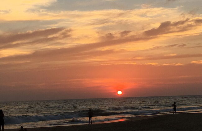 Silence Garden - Foto 45