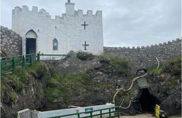 The Wee Sprout - Foto 19