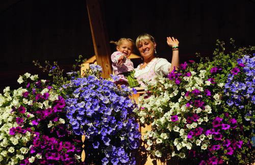 Naturapartments Schönfeld - Foto 13