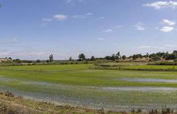 Herdade de Montalvo - Comporta - Photo 42