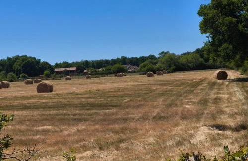 eco nature, gite à la ferme - Foto 25