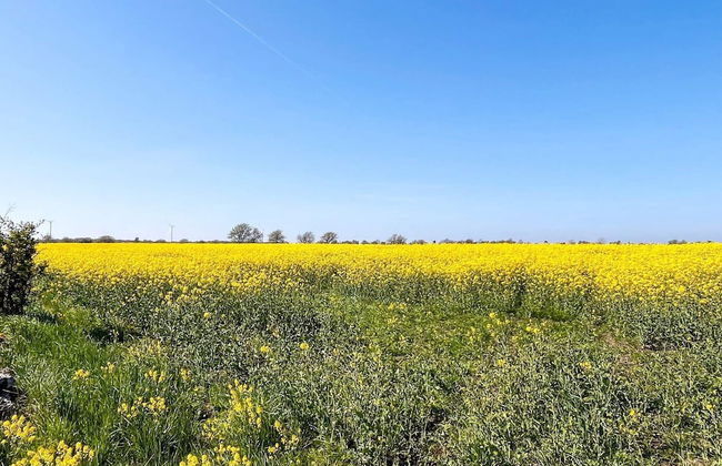 5 Star Holiday Home in Borgholm-by Traum - Foto 14