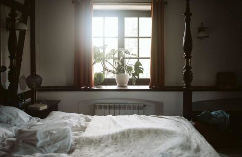 Dzikie Historie Młynik - Photo 6