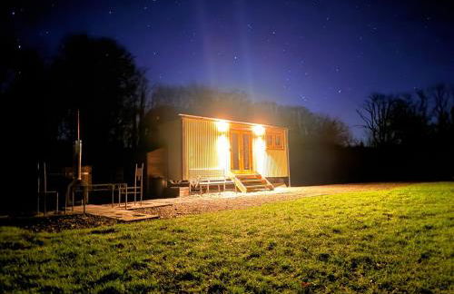 Cwtch Ffynnone Luxury Shepherds Hut - Foto 7