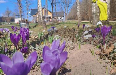 Chata Nova - Foto 35