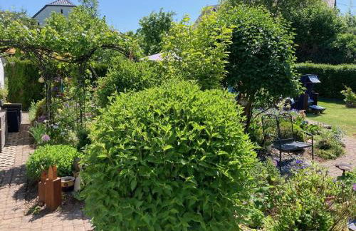 Kleine Auszeit, schöne Ferienwohnung - Foto 23