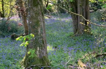 Ideally located Luxury Country Escape-The Lookout-with private garden dog friendly and private hot tub - Foto 26