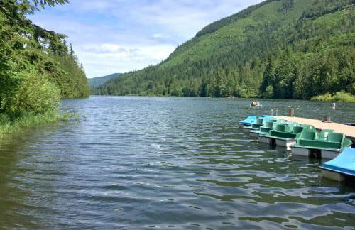 Silver Lake #67 - Foto 45