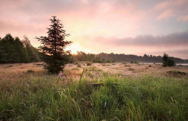 Holiday Home in Ruinerwold With Garden - Photo 13