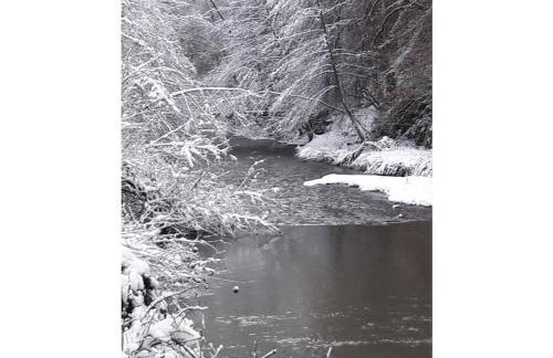 Main building Neumühle - Foto 19