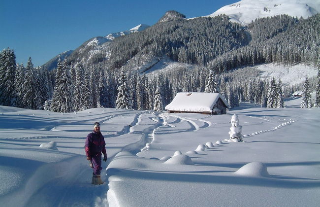 Wolf & Schaf Apartments - Foto 49