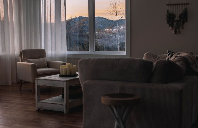 Le Sherpa -spa Billard et acc s au lac - Foto 21