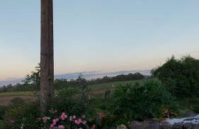 Acomodação do Viveiro Bela Flor - Photo 20