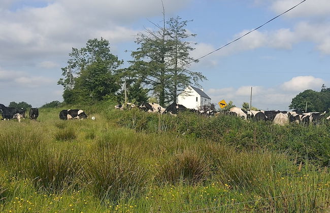 Cozy Cottage Retreat in Listowel pet Friend - Foto 25