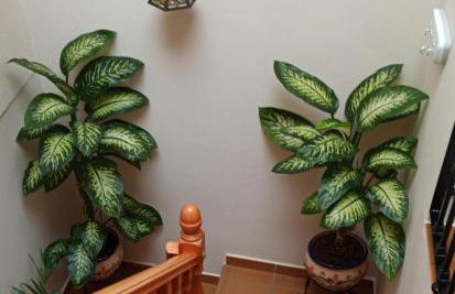 Casa Rural Abril - Foto 13