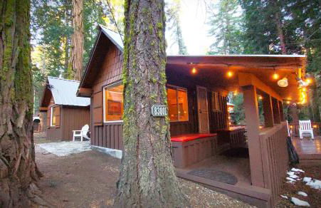 Sequoia Splendor, inside Kings Canyon NP by Visitors Center - Foto 61