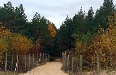 Baltic Porto-Porto 36 - Photo 23