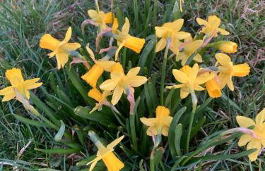 Brama Gór - Foto 53