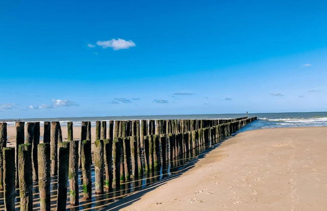 Thatched Villa With Wifi, sea at 1 km in Cosy Domburg - Foto 25