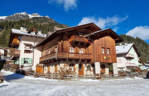 Cesa Alegra - Foto 1