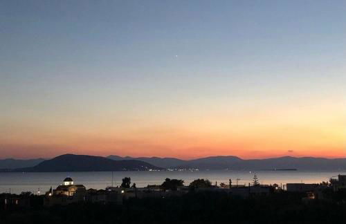 Pepper Tree - Foto 1