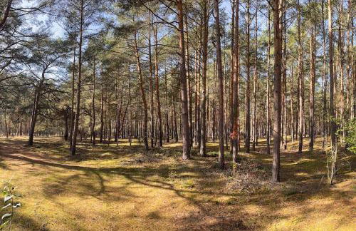 Modernes Waldhaus im Spreewald - Foto 10