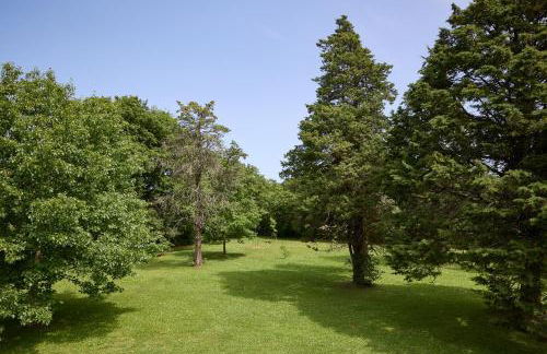 Casa Mancini Monticiano - Holiday Villa - Foto 26