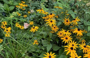 Mazurska Riwiera - Foto 28