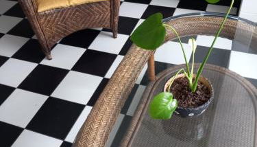 l'Hirondelle de la Ruelle - Foto 4