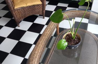 l'Hirondelle de la Ruelle - Foto 4