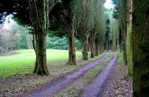 Beautiful cottage in Brentwood - Foto 56