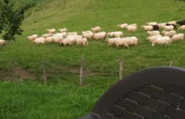 Casa Rural Orortegi - Foto 14