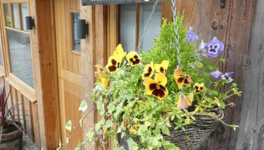 Wildcat Lodge - Foto 2