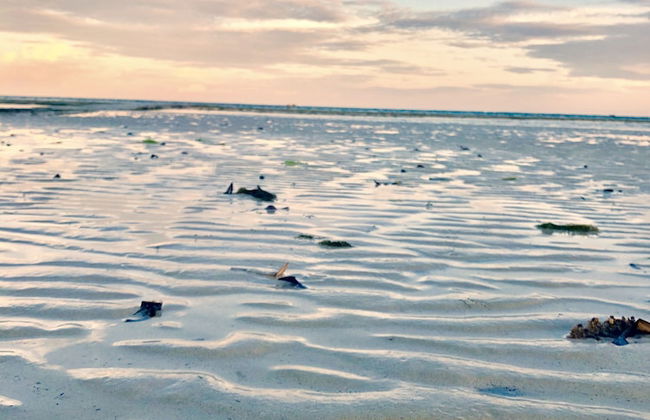 Villa Kalista Luxury Villas - Foto 42