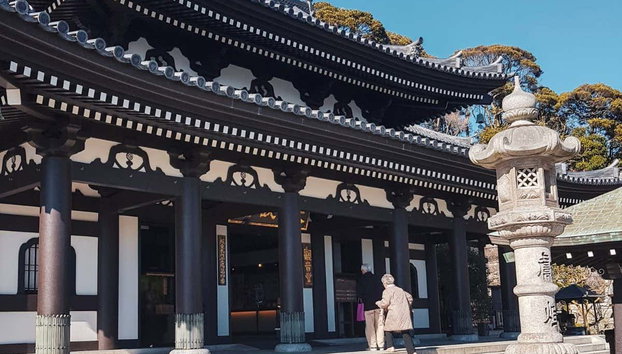 Excursion privée à Kamakura - Photo 2, Découvrez les temples de Kamakura