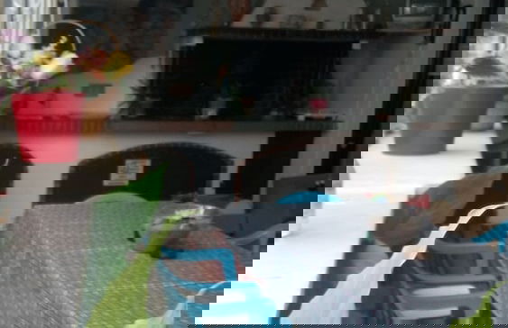 Villa George - Foto 27