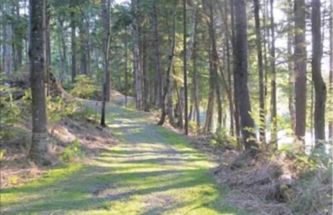 Blueberry Lake Resort - Photo 39