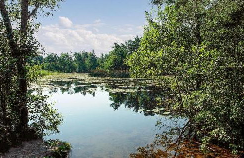 Summer House in Kopalino Near the Sea - Foto 56