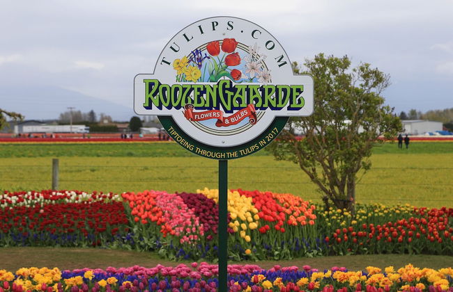 Medallion Inn & Suites - Foto 28