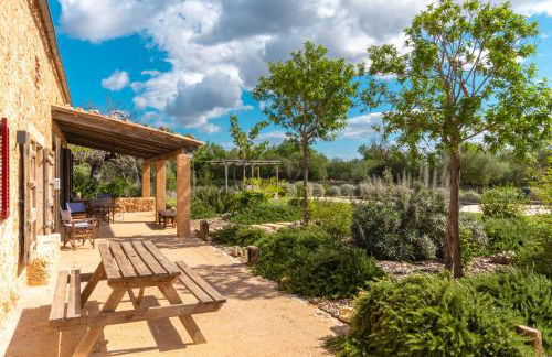 Can Cortana - Foto 35