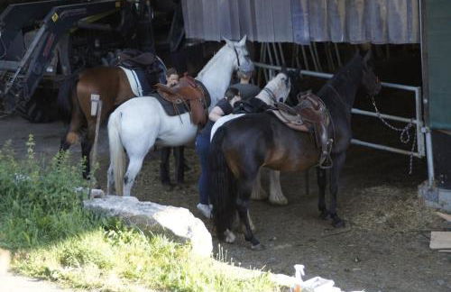Bushof - Leben auf dem Land - Foto 23