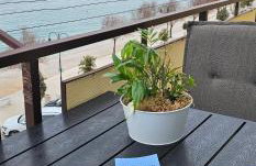 Apartman Pida , apartman s 1 spavaćom sobom - Foto 1