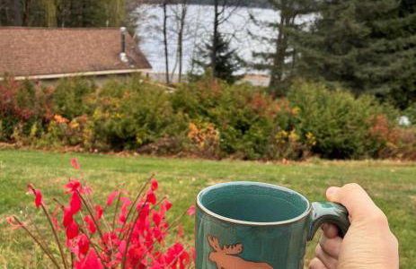 Adirondack Cabin - Foto 43